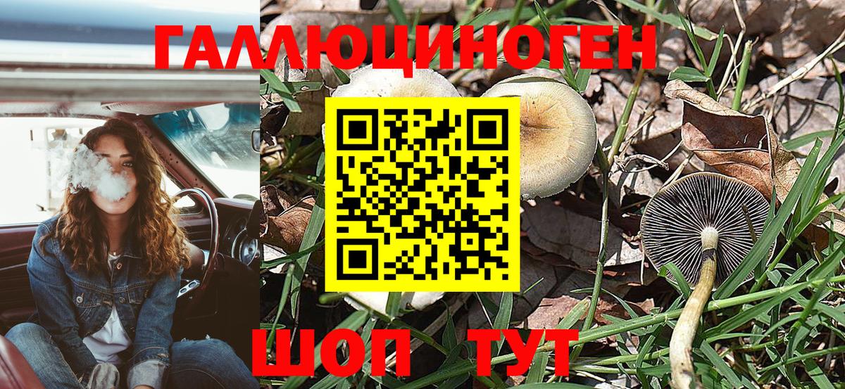 Кореновск  купить закладку  Вход с VPN  Псилоцибиновые грибы MAGIC MUSHROOMS 